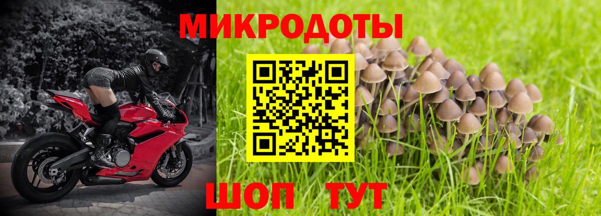 Галлюциногенные грибы ЛСД Вязники