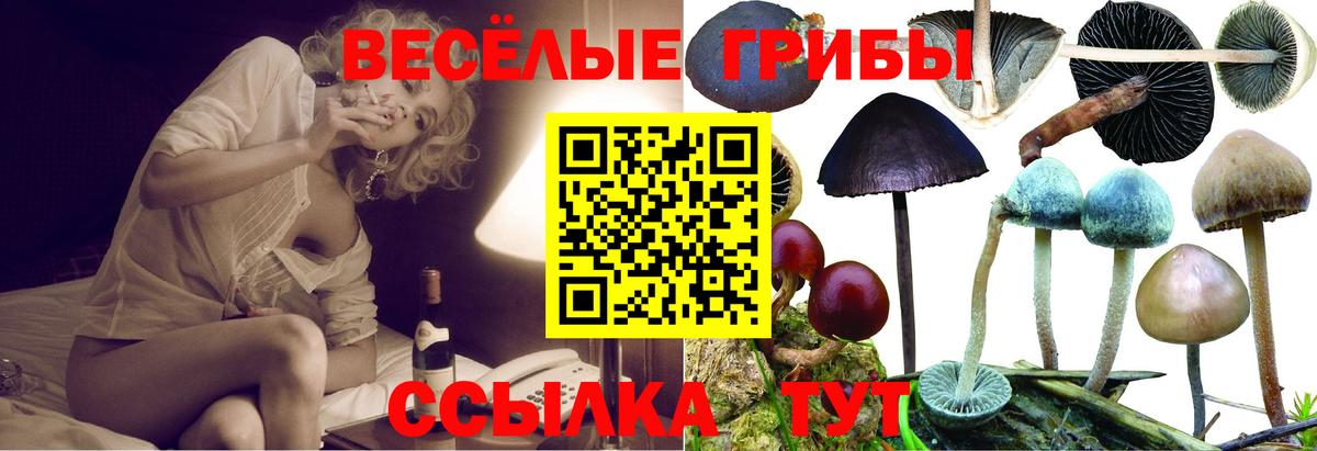 Галлюциногенные грибы ЛСД  Вход с VPN  Вязники 